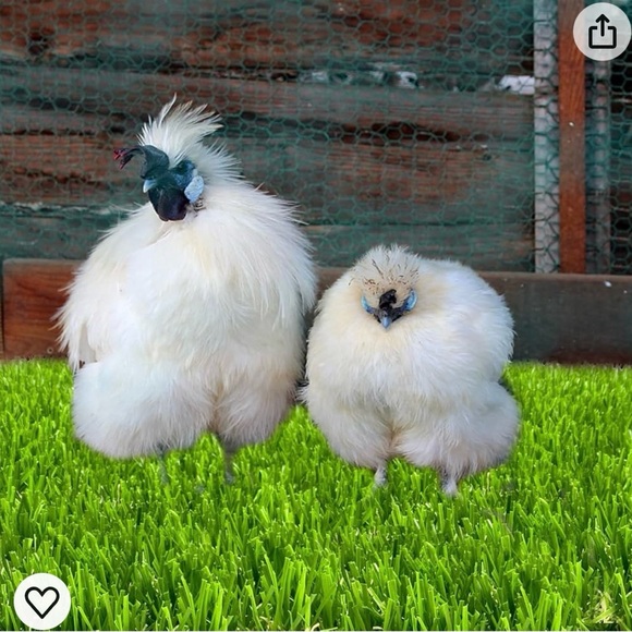 10pcs Chicken Nesting Pads Set,
12"12" Turf Squares Mat - Picture 3 of 3